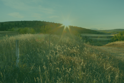 LAND MANAGEMENT